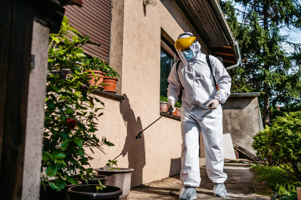 Best Pest Removal Services  in Indian Rocks Beach, FL